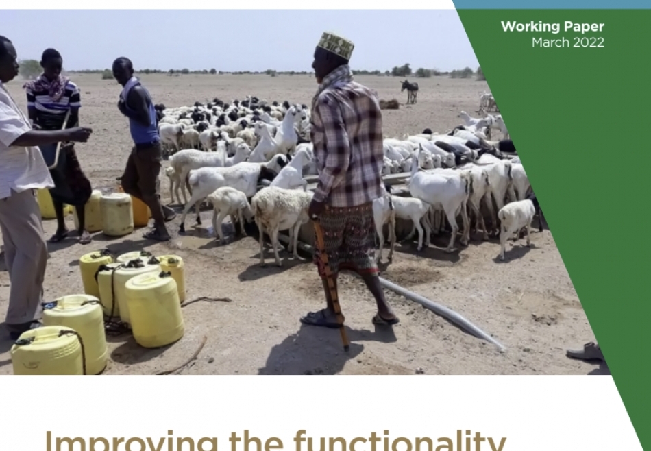 Improving the functionality of water investments in the drylands