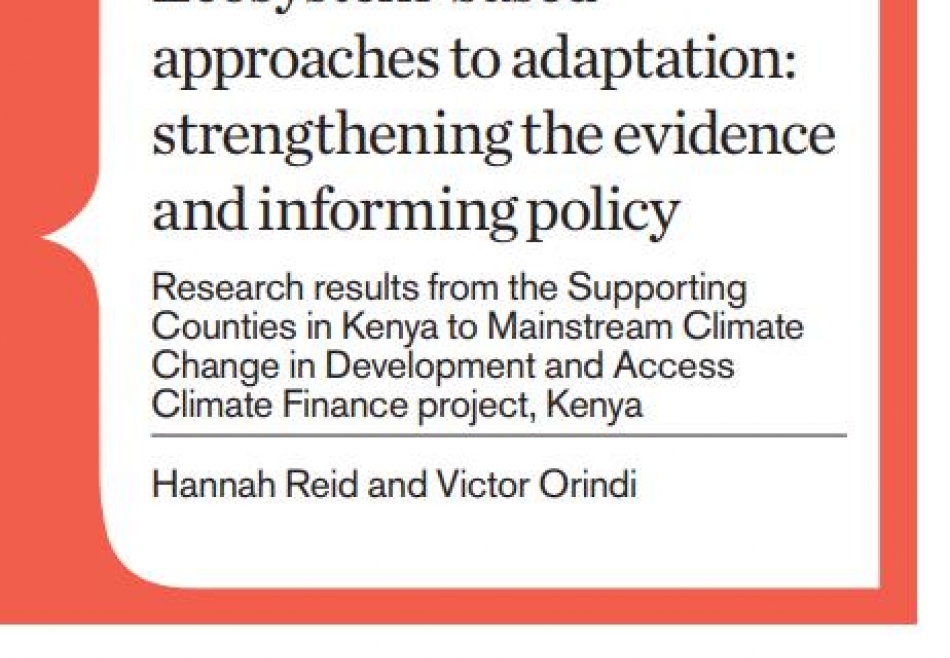 Ecosystem-based approaches to adaptation: Strengthening the evidence and informing policy