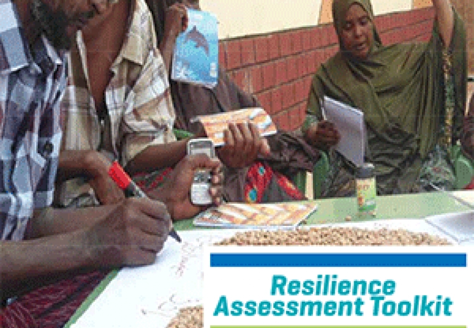 Resilience Assessment Toolkit
