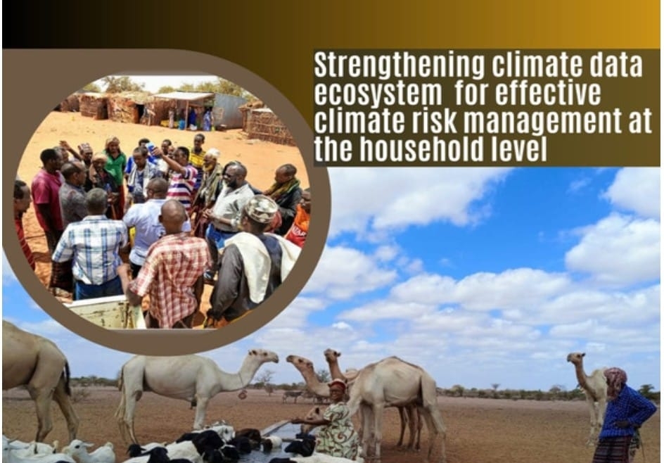 Strengthening CDE for Effective Climate Risk Management